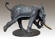 John Tolmay - When and Elephant Comes to Kill You