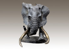 John Tolmay - When and Elephant Comes to Kill You