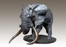 John Tolmay - When and Elephant Comes to Kill You