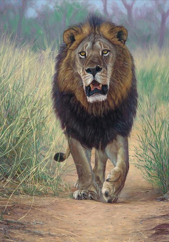 John Banovich - Lionheart