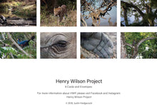 Henry Wilson Project-Wildlife Greeting Cards