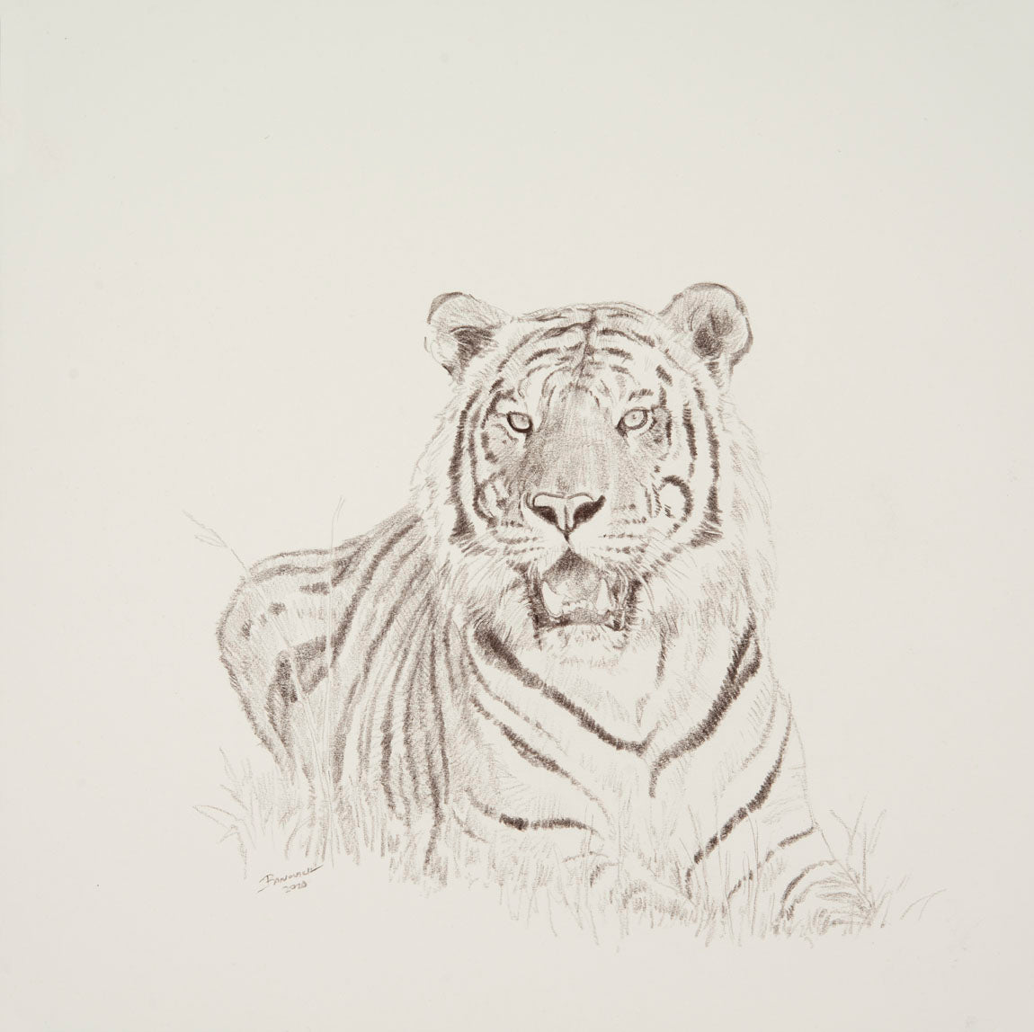 Original Painting-John Banovich-Tiger Sketch