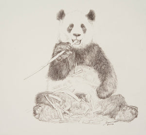Original Painting-John Banovich-Panda Sketch