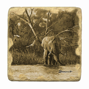 Banovich Wild Accents-African Elephants-Coasters