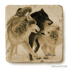 Banovich Wild Accents-Wolves Collection - Coasters