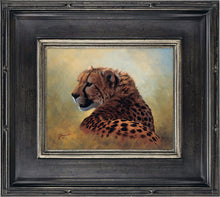 John Banovich - Cheetah Study