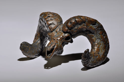 Mick Doellinger-Ram Skull-Bronze  Sculpture