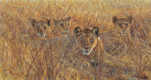 John Banovich - Heart of the Pride