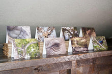 Henry Wilson Project-Wildlife Greeting Cards