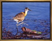 John Banovich - Big Foot-African Jacana