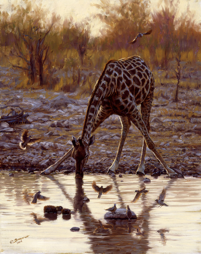 John Banovich - Evening Drink – Banovich Art