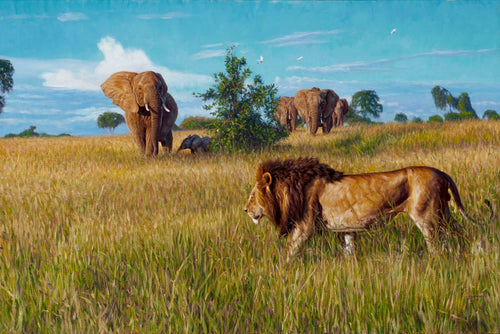 John Banovich - In the Presence of a Mighty King