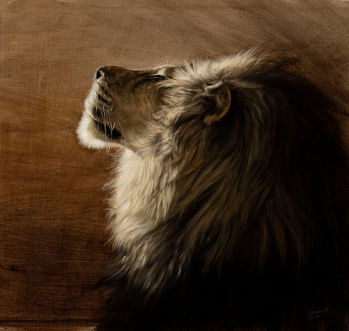 John Banovich - It's A Good Day to Be King