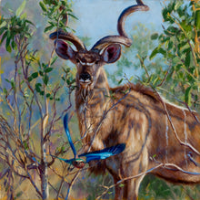 John Banovich - Kudu & Lilac Breasted Roller