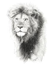 John Banovich - Mfalme Lion