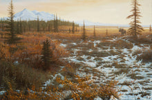 John Banovich - Moose Country