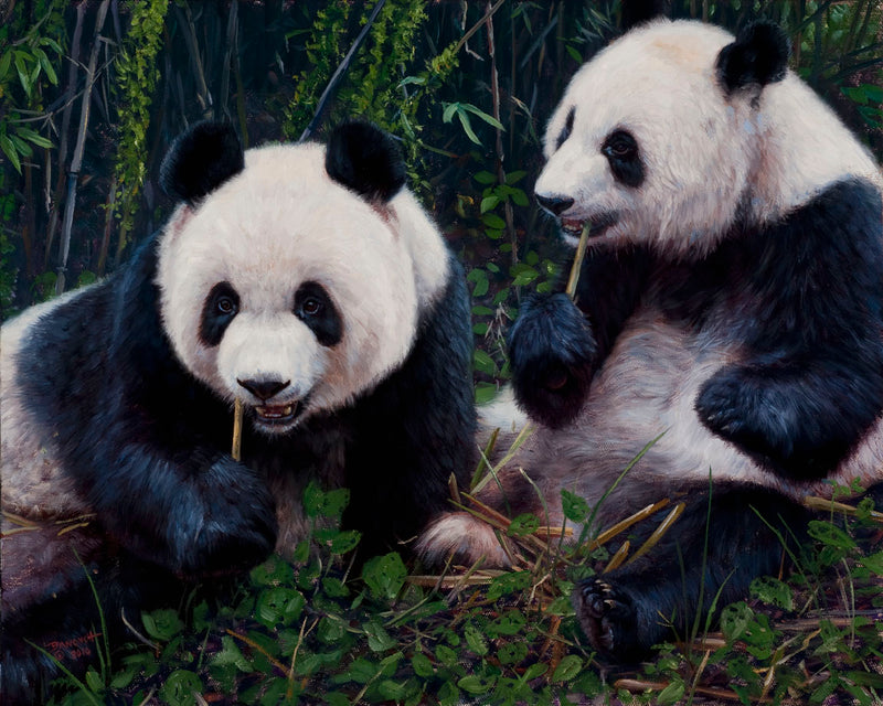 その他 panda John Banovich - Panda Pair – Banovich Art