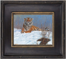 John Banovich - Siberian Tiger