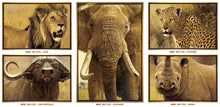 John Banovich - The Big Five Collection- Elephant