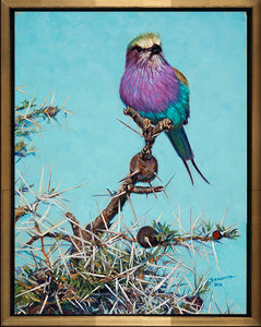 John Banovich - Above the Thorns
