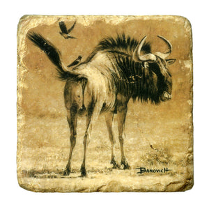 Banovich Wild Accents-African Ungulates II-Coasters