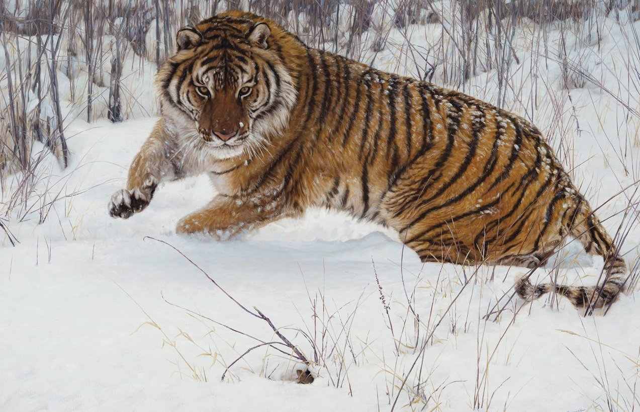 syberian mouse $ John Banovich - Cat and Mouse – Banovich Art