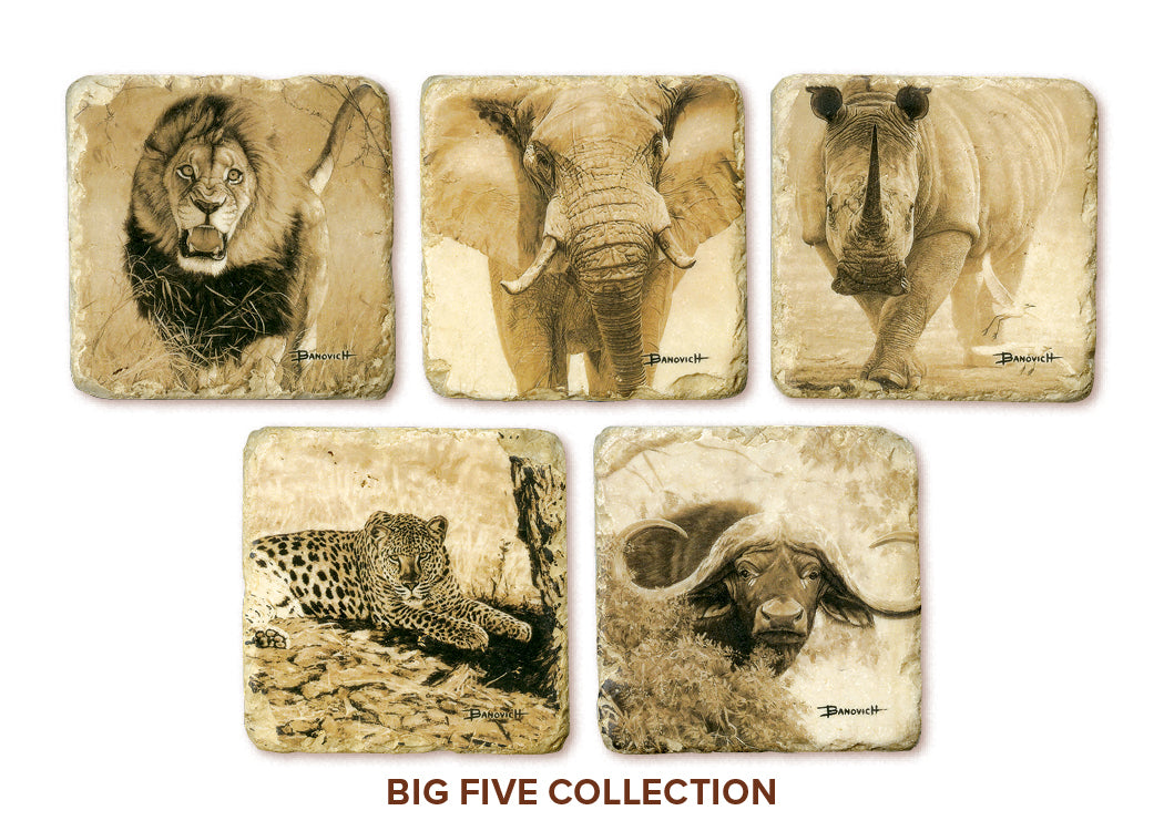 Banovich Wild Accents-Big Five-Coasters