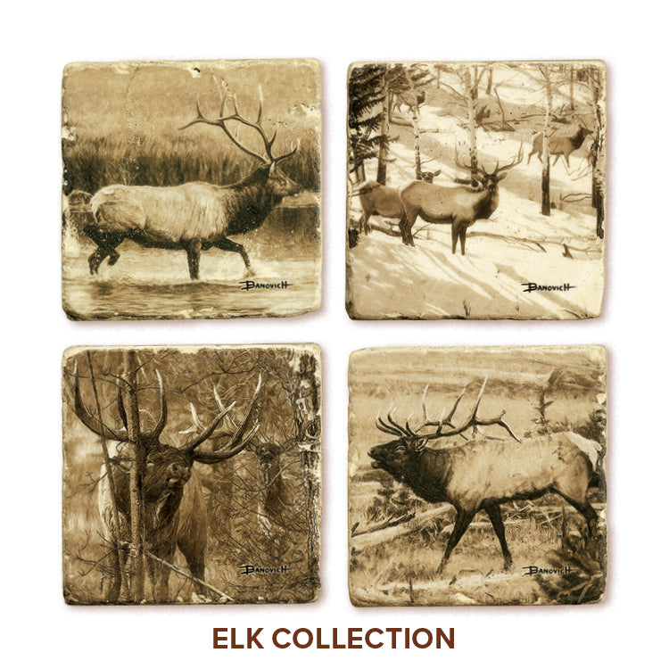 Banovich Wild Accents-Elk Collection-Coasters