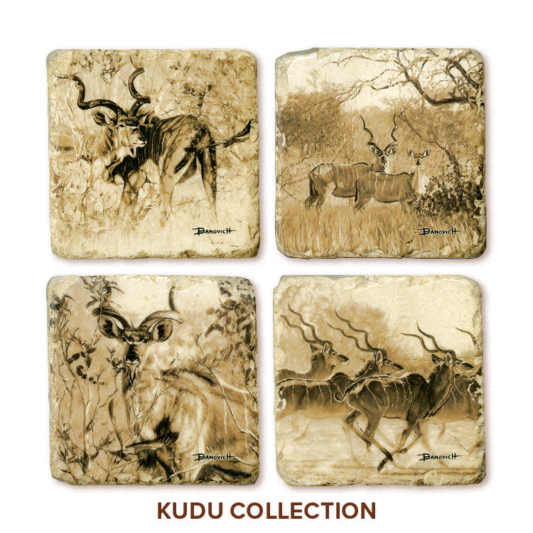 Banovich Wild Accents-Kudu Coasters
