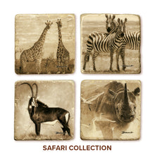 Banovich Wild Accents-Safari Collection-Coasters