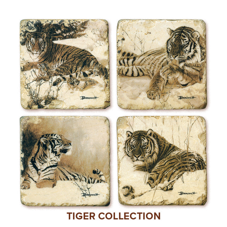 Banovich Wild Accents-Tiger Collection-Coasters