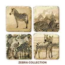 Banovich Wild Accents-Zebra Coasters