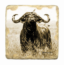 Banovich Wild Accents-Dagga Boys Coasters