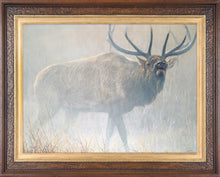 John Banovich - Echoes of Yellowstone