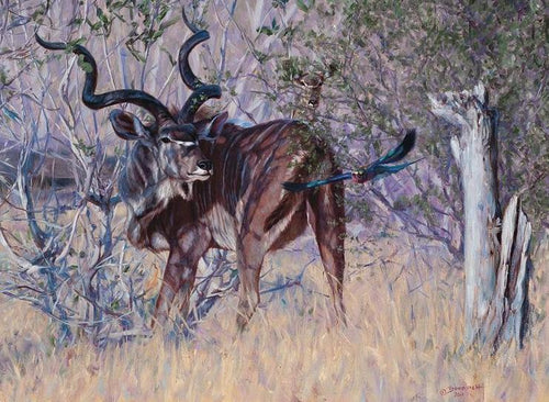 John Banovich - Just Passing By