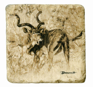 Banovich Wild Accents-Kudu Coasters
