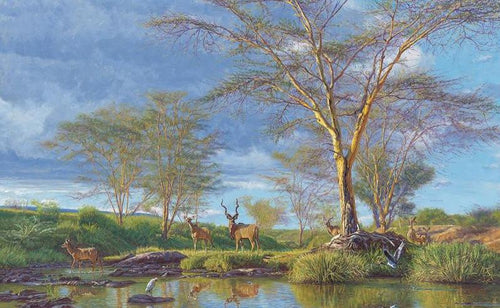 John Banovich - Kudu Fever