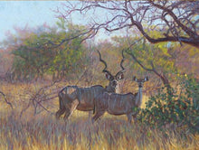 John Banovich - Kudu in the Lowveld