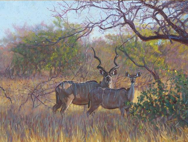John Banovich - Kudu in the Lowveld