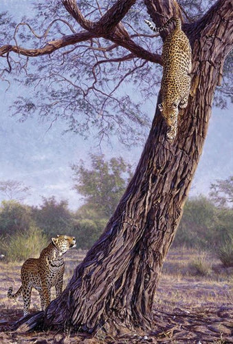 John Banovich - Leopard Call