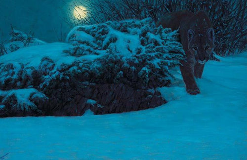 John Banovich - Midnight Stalker