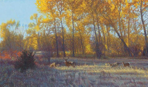 John Banovich - Montana Gold