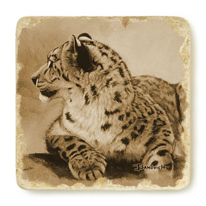 Banovich Wild Accents-Endangered Species Collection-Coasters