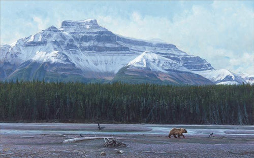 John Banovich - North Country