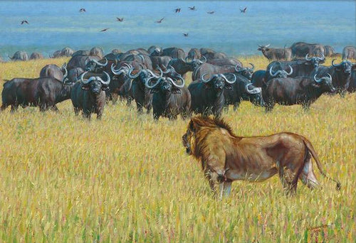 John Banovich - Outnumbered