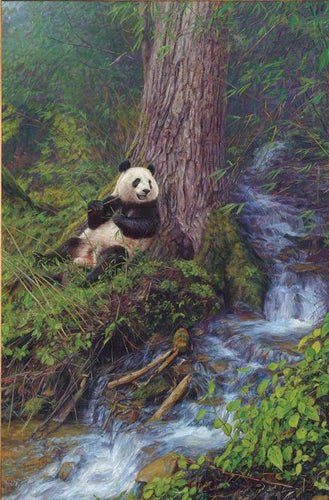 John Banovich - Panda Shangri-La