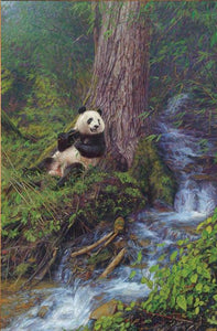 John Banovich - Panda Shangri-La