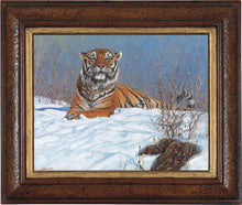 John Banovich - Siberian Tiger