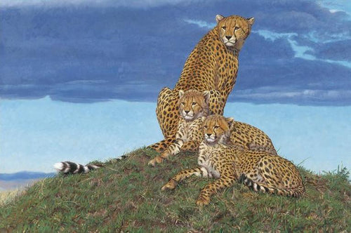 John Banovich - Storm Watchers