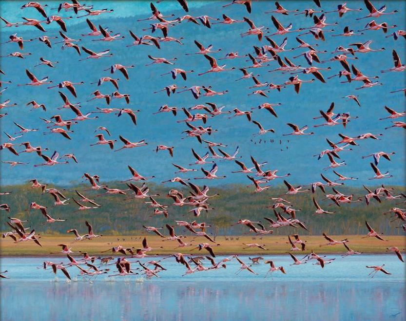 John Banovich - Taking Flight